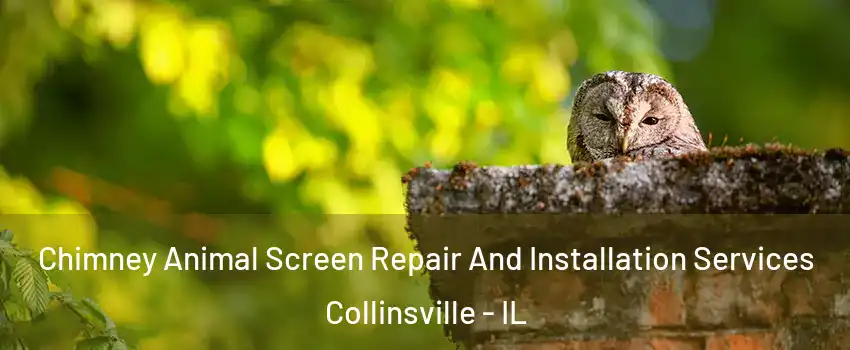  Chimney Animal Screen Repair And Installation Services Collinsville - IL