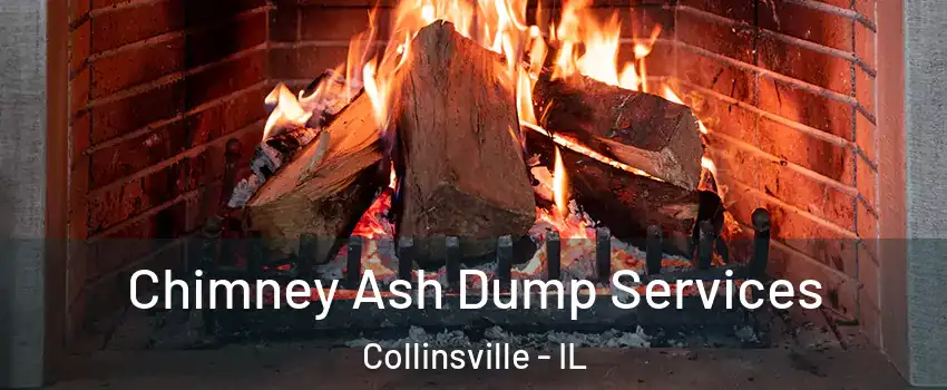  Chimney Ash Dump Services Collinsville - IL