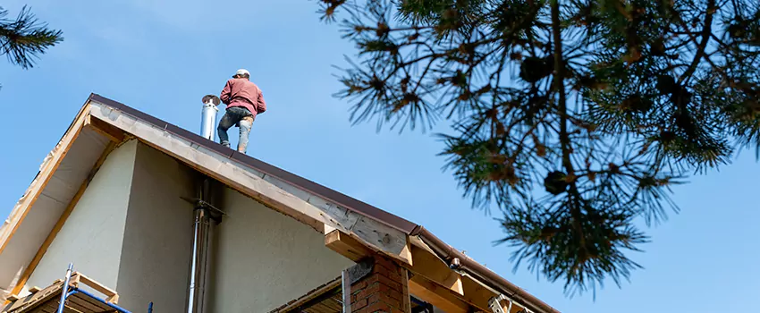 Birds Removal Contractors from Chimney in Collinsville, IL