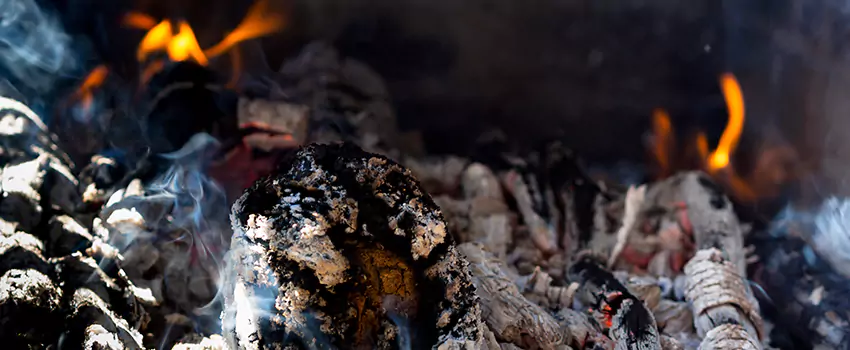 Creosote Removal Experts in Collinsville, IL