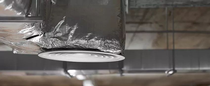 Signs of Dust Accumulation in Vents in Collinsville, IL