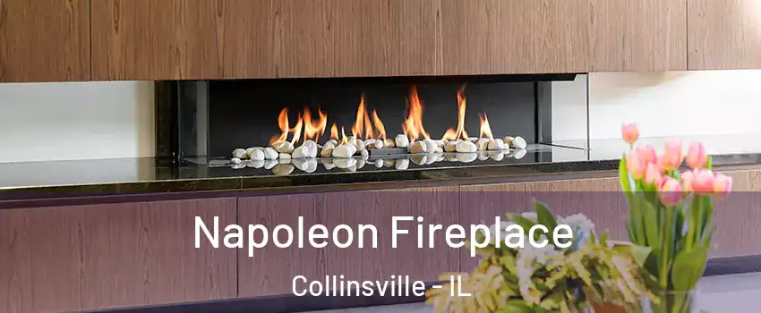  Napoleon Fireplace Collinsville - IL