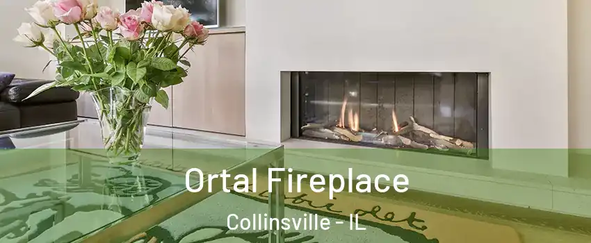  Ortal Fireplace Collinsville - IL